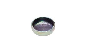 Plug for timing cover 504086298