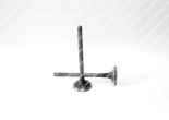 Valve exhaust 1908409 Valve exhaust 1908409