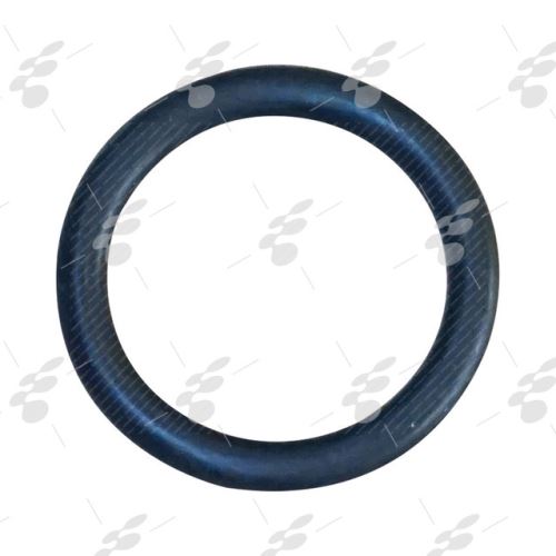 Seal Ring 504065448