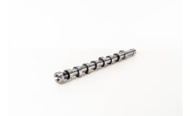 Camshaft 1685737 (1)