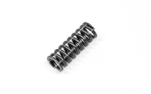 Valve spring