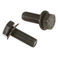 Šroub setrvačníku M12x1.25x31 mm IVECO 4894641
