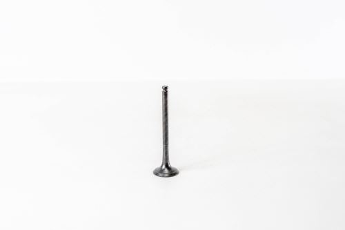 Valve exhaust 55196276