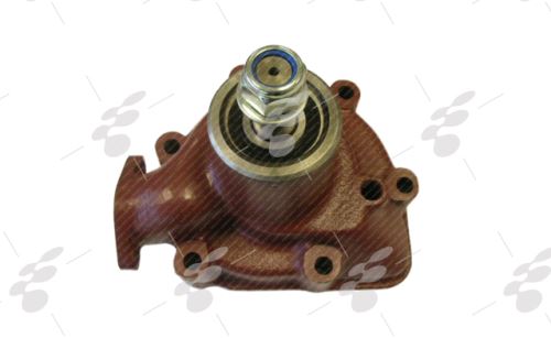 Water Pump 259065