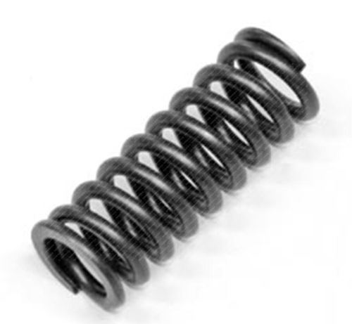 Valve Spring 504125776