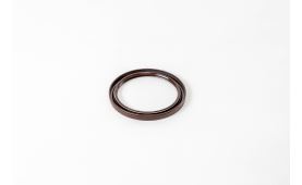 Shaft seal, crankshaft (1)