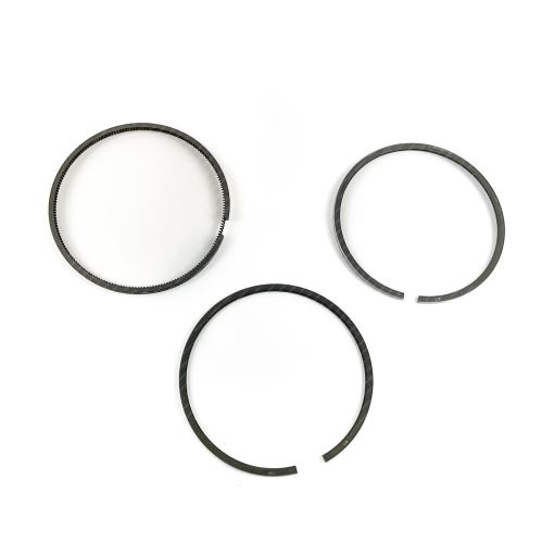 Piston Ring Kit 800029910000