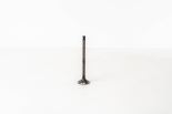 Valve exhaust 1011A351 Valve exhaust 1011A351
