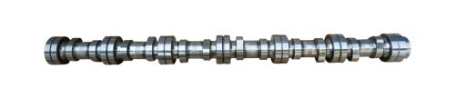 Camshaft 20100712000