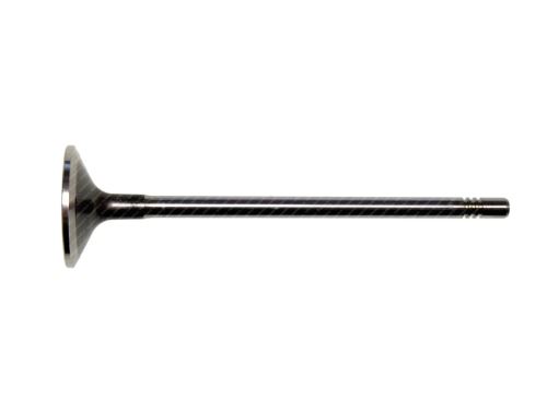 Valve exhaust 504081062