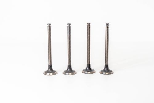 Valve exhaust 7303309