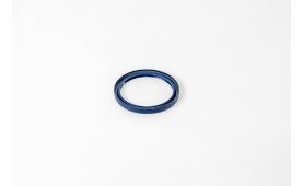 Shaft seal, crankshaft (1)
