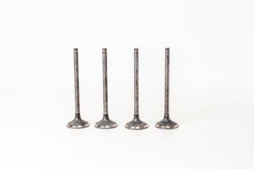 Valve exhaust 824000