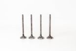 Valve exhaust 824000