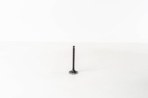 Ventil sací 1600530001