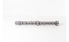 Nockenwelle, Auspuff 504096183