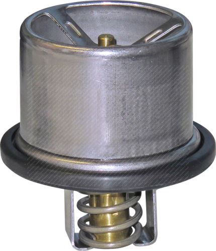 Thermostat of coolant 1953171