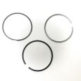 Piston Ring Kit 800036411000 Piston Ring Kit 800036411000