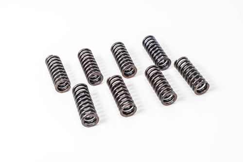 Valve spring 500348686
