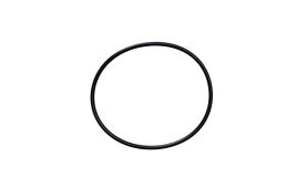 O ring 504325903 (1)