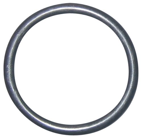 Seal Ring 4898876