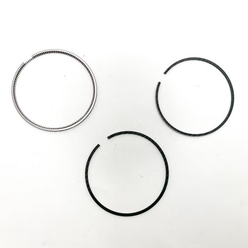 Piston Ring Kit 800058310000