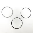 Piston Ring Kit 800058310000