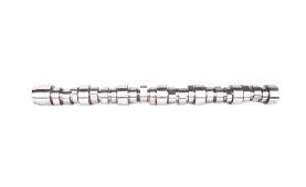 Camshaft 504221497