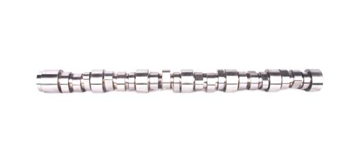 Camshaft 504221497