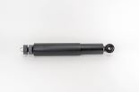 Shock Absorber 11119173