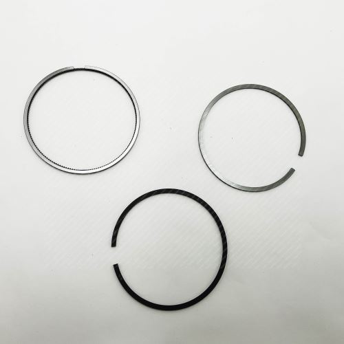Piston Ring Kit 800077310000