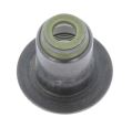 Dichtring, Ventilschaft 500395378