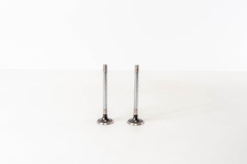 Valve exhaust 094960