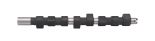 Camshaft 5950297 Camshaft 5950297
