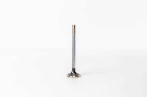 Valve exhaust 1908395