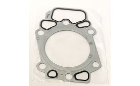Dichtungvollsatz, Motor, mit ZKD 846.420