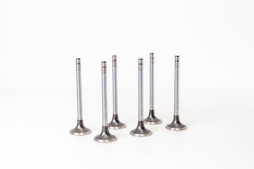 Valve exhaust