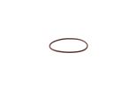 O ring 17285381