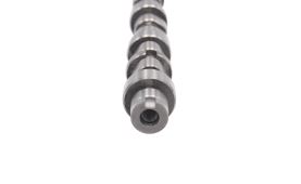 Camshaft 73501374 (2)