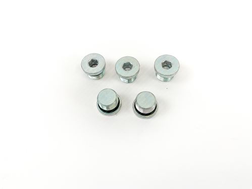 Threaded plug M22 x 1,5 mm IVECO EuroCargo TECTOR 4895080