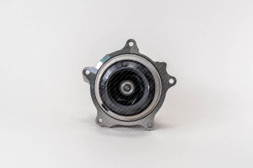 Water Pump 2042161