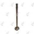 Valve intake 55219793 Valve intake 55219793