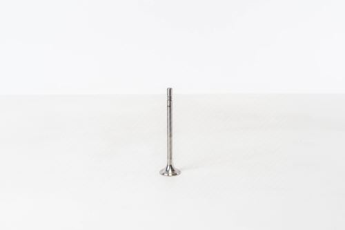 Auslassventil 04L109611A