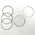Piston Ring Kit 800118810000