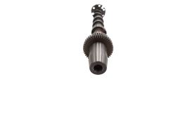 Camshaft 50007006 (1)