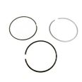 Piston Ring Kit