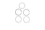 Piston Ring Kit 800109910050
