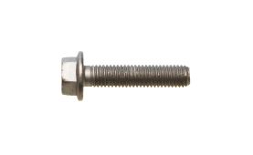 Camshaft wheel bolt M10x45 16676135 (1)