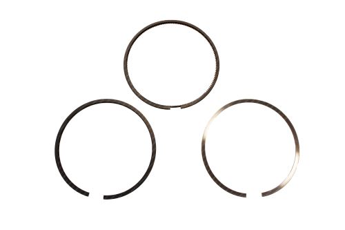 Piston Ring Kit 800118310040