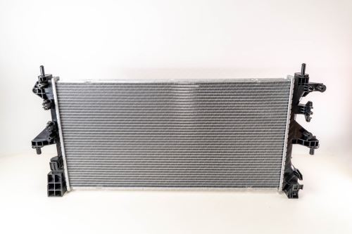 Radiator of engine cooling 0203.3001